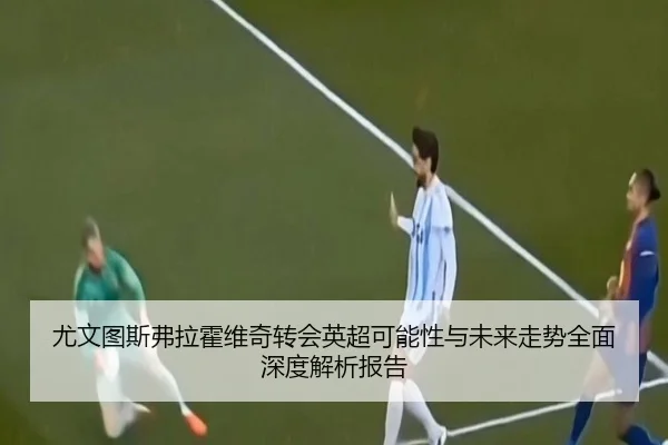 尤文图斯弗拉霍维奇转会英超可能性与未来走势全面深度解析报告