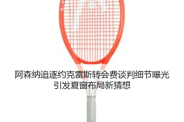 阿森纳追逐约克雷斯转会费谈判细节曝光引发夏窗布局新猜想